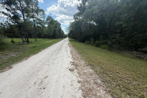 Land in Dunnellon, Florida № 1804706 - photo 3