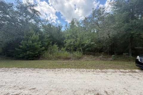 Land in Dunnellon, Florida № 1804706 - photo 1