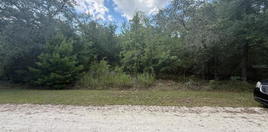 Land in Dunnellon, Florida № 1804706