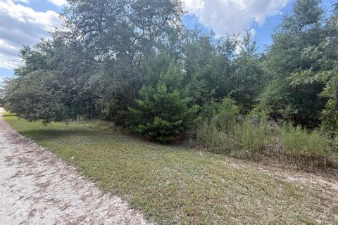 Land in Dunnellon, Florida № 1804706 - photo 4