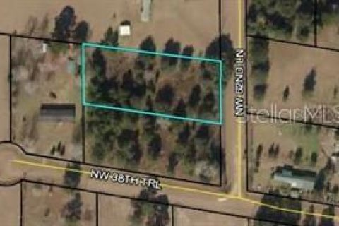 Land in Jennings, Florida № 1765359 - photo 3