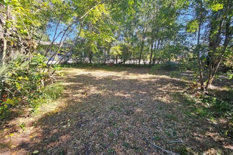 Land in Lakeland, Florida № 1520006 - photo 6