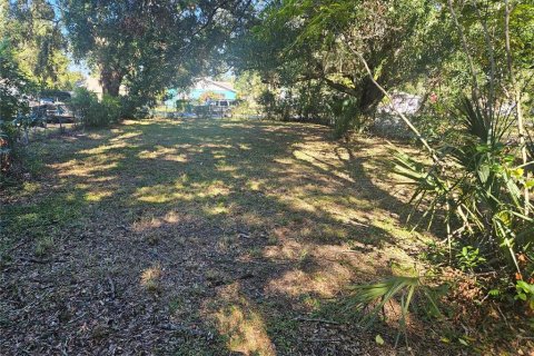 Land in Lakeland, Florida № 1520006 - photo 7