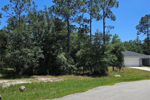 Terrain à Poinciana, Floride № 2161431