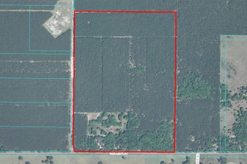 Land in Dunnellon, Florida № 1045934 - photo 2