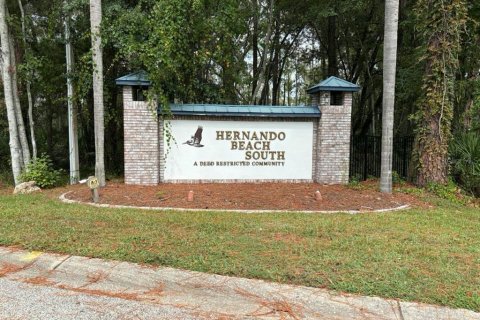 Villa ou maison à vendre à Hernando Beach, Floride: 3 chambres, 183.57 m2 № 2412624 - photo 23