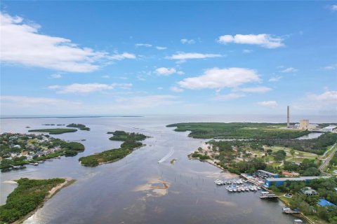 Land in Tarpon Springs, Florida № 2213328 - photo 12