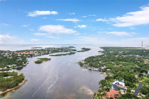 Land in Tarpon Springs, Florida № 2213328 - photo 5