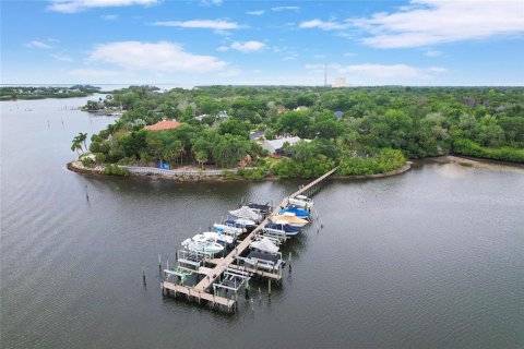 Land in Tarpon Springs, Florida № 2213328 - photo 9