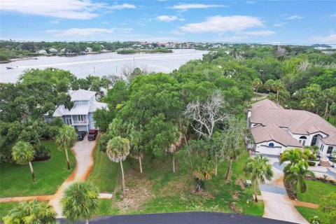Land in Tarpon Springs, Florida № 2213328 - photo 4