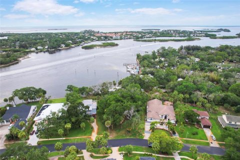 Land in Tarpon Springs, Florida № 2213328