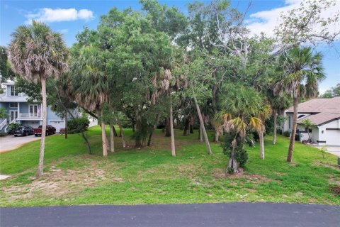 Land in Tarpon Springs, Florida № 2213328 - photo 14