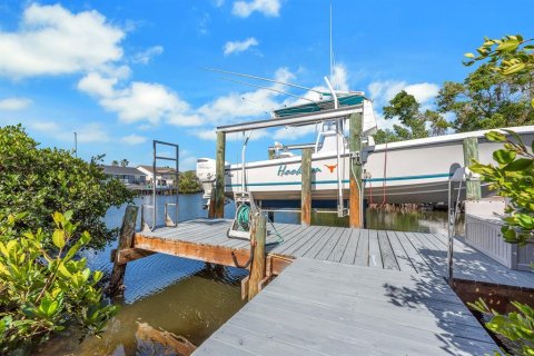 House in Apollo Beach, Florida 4 bedrooms, 246.19 sq.m. № 1718021 - photo 8