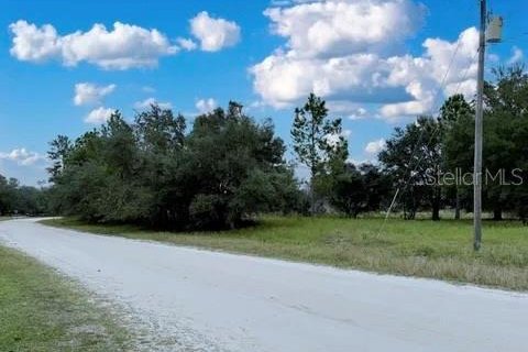 Land in Georgetown, Florida № 2165030 - photo 14