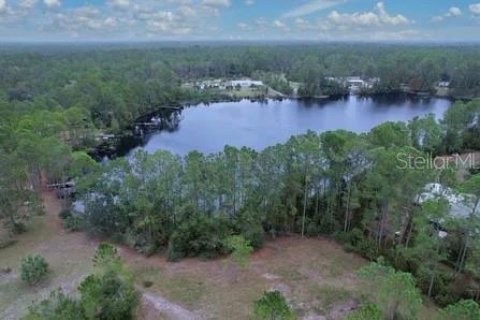 Land in Georgetown, Florida № 2165030 - photo 10