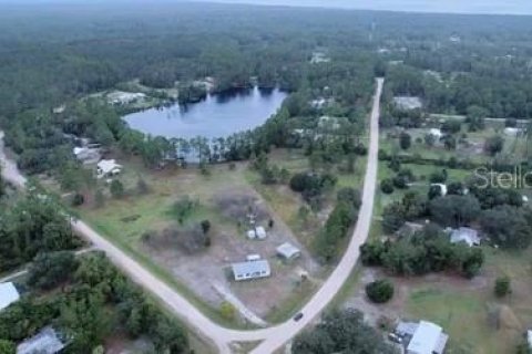 Land in Georgetown, Florida № 2165030 - photo 4