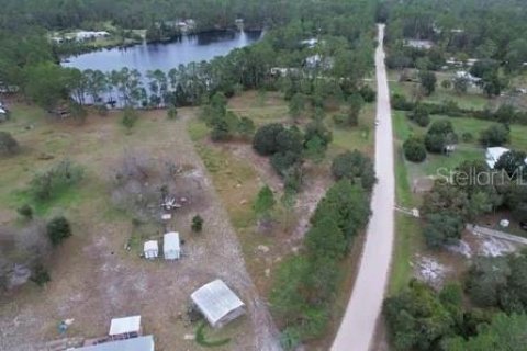 Land in Georgetown, Florida № 2165030 - photo 7