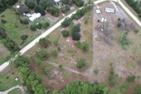 Land in Georgetown, Florida № 2165030 - photo 9