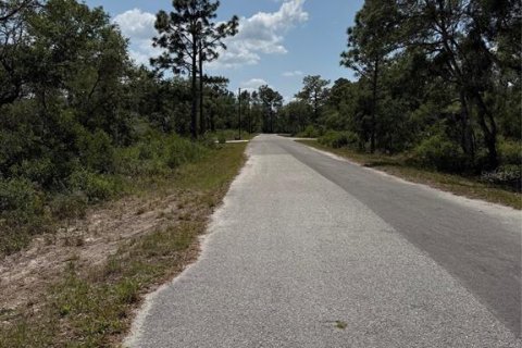 Land in Ocklawaha, Florida № 2164987 - photo 3