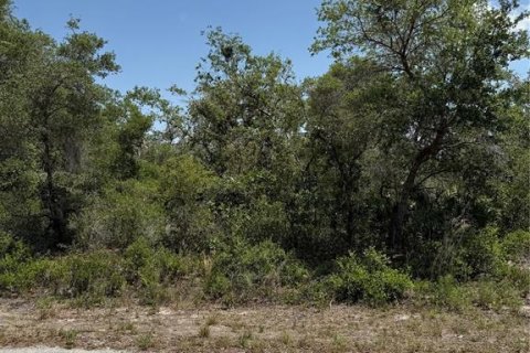 Land in Ocklawaha, Florida № 2164987 - photo 2