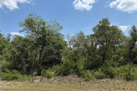 Land in Ocklawaha, Florida № 2164987