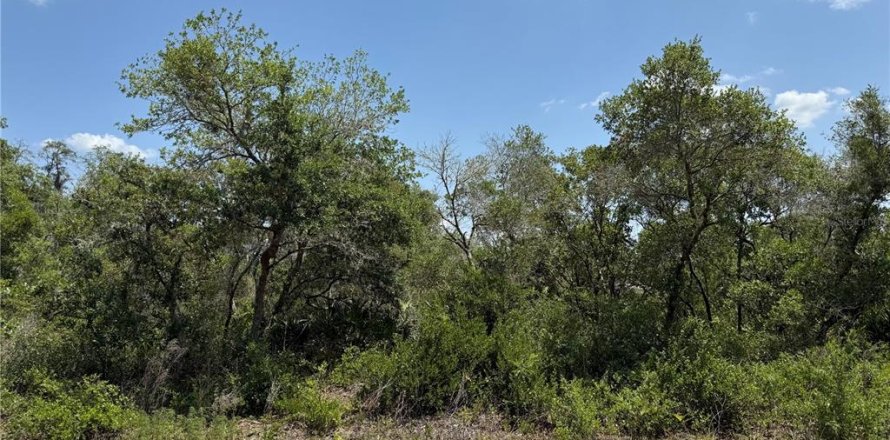 Land in Ocklawaha, Florida № 2164987