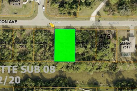 Land in North Port, Florida № 2167730 - photo 2