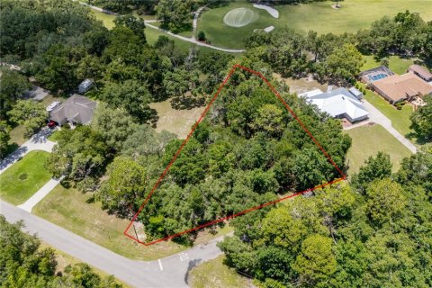 Terreno en venta en Chiefland, Florida № 1802127 - foto 8