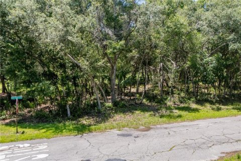Terreno en venta en Chiefland, Florida № 1802127 - foto 2