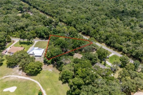 Terreno en venta en Chiefland, Florida № 1802127 - foto 4