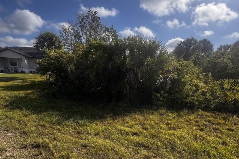Land in Rotonda, Florida № 2165515 - photo 2