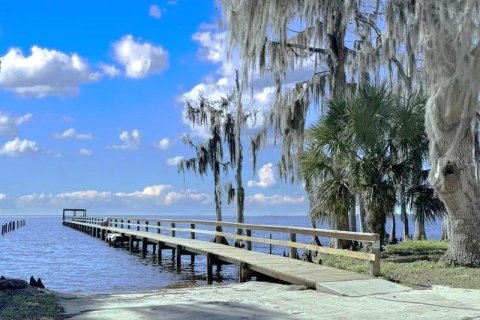Land in Georgetown, Florida № 2158996 - photo 3