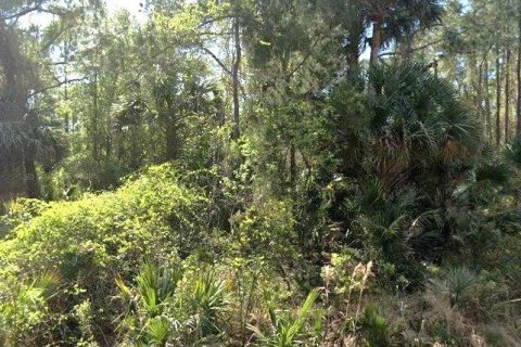 Land in Georgetown, Florida № 2158996 - photo 2