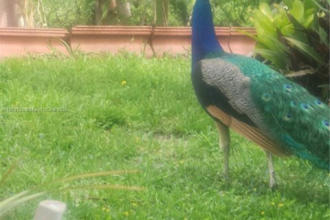 Land in Inverness, Florida № 2036812