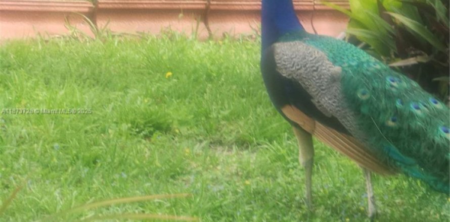 Terreno en Inverness, Florida № 2036812