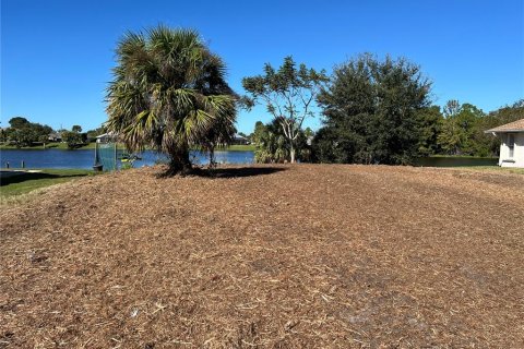 Land in Port Charlotte, Florida № 2099145 - photo 3