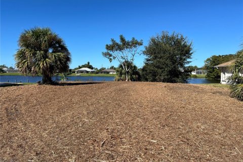 Land in Port Charlotte, Florida № 2099145 - photo 6