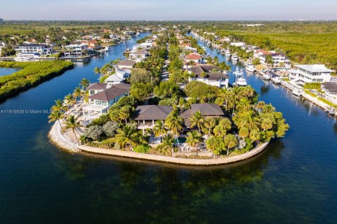 Villa ou maison à vendre à Coral Gables, Floride: 4 chambres, 412.02 m2 № 1971664 - photo 4