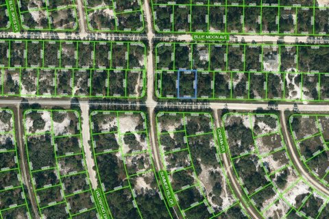 Land in Lake Placid, Florida № 2162413