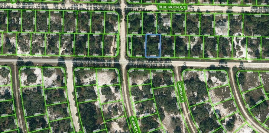 Land in Lake Placid, Florida № 2162413