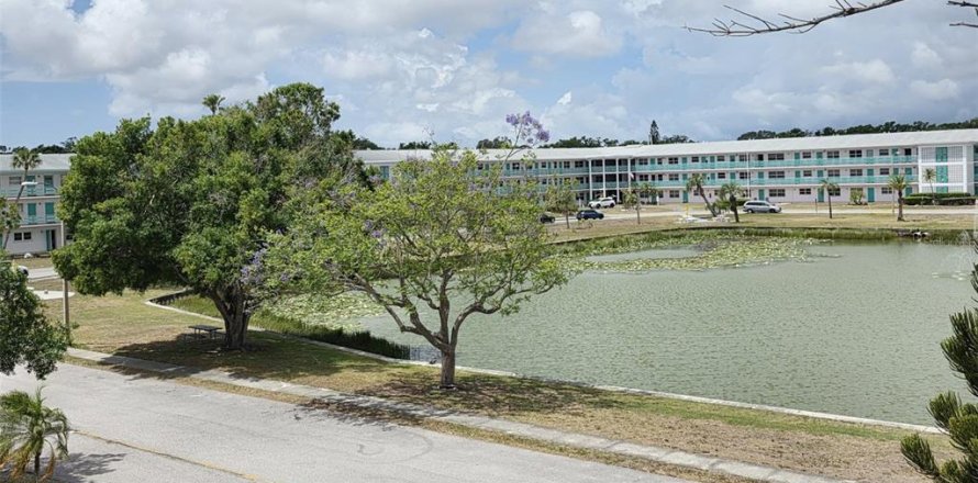 Condominio en Saint Petersburg, Florida, 2 dormitorios № 2102856