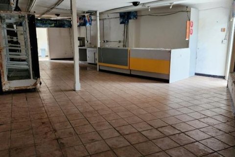 Immobilier commercial à louer à Clearwater, Floride: 498.98 m2 № 1347281 - photo 26