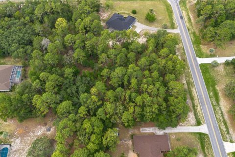 Land in Beverly Hills, Florida № 1746416 - photo 3