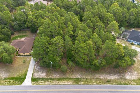 Land in Beverly Hills, Florida № 1746416 - photo 1