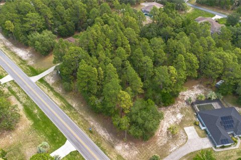 Land in Beverly Hills, Florida № 1746416 - photo 2