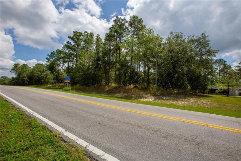 Land in Beverly Hills, Florida № 1746416 - photo 8