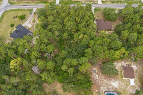 Land in Beverly Hills, Florida № 1746416 - photo 6