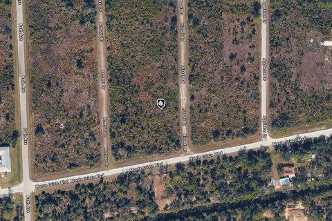 Land in Punta Gorda, Florida № 2161694 - photo 2