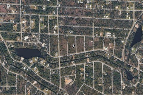 Land in Punta Gorda, Florida № 2161694 - photo 3