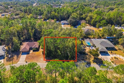 Land in Citrus Springs, Florida № 2163866 - photo 3
